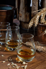 Speyside scotch whisky tasting on old dark wooden vintage table with barley grains close up