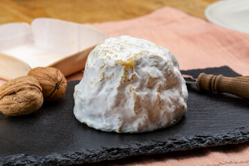 Cheese collection, soft cow French cheese with mold Gaperon artisanal lavored with cracked peppercorns and garlic produced in Auvergne