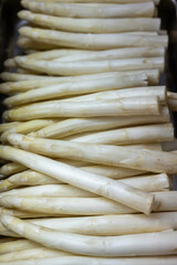 First Dutch white washed asparagus for sale on farm in North Brabant