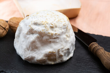 Cheese collection, soft cow French cheese with mold Gaperon artisanal lavored with cracked peppercorns and garlic produced in Auvergne