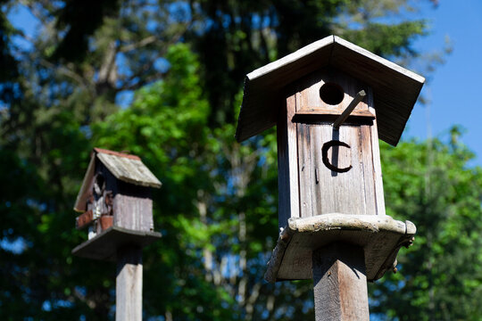 An image of two old wooden birdhouses on top of wooden posts. 