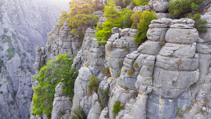 Huge cliffs with forest at summer. Beautiful nature miracle in Turkey. National park area. Pure untouched nature. Dense mixed forest at the top of a mountain cliff.