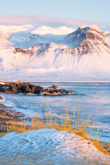 Sunrise over stunning winter landscape in Iceland. Snowy ocean coast with volcanic mountains and yellow grass. Pure nature at winter season.