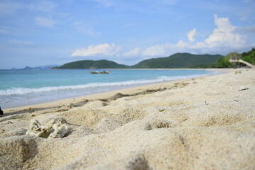 beach and sea