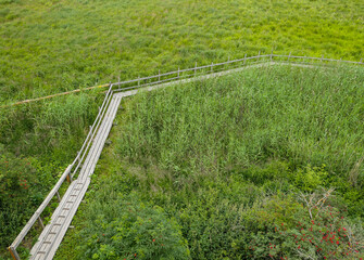 bridge over the river