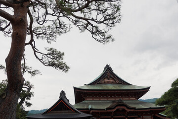 Roof and tree details in historic Buddhist temple in Japan. Cloudy day in spring.