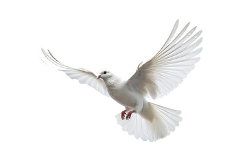 Obraz premium free flying white dove isolated on a white background. Generative AI technology.