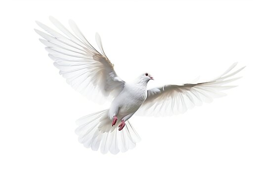 free flying white dove isolated on a white background. Generative AI technology.