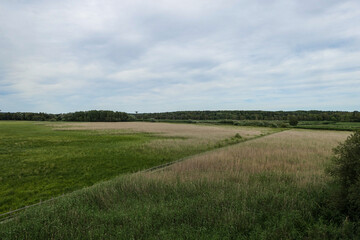 field and blue sky