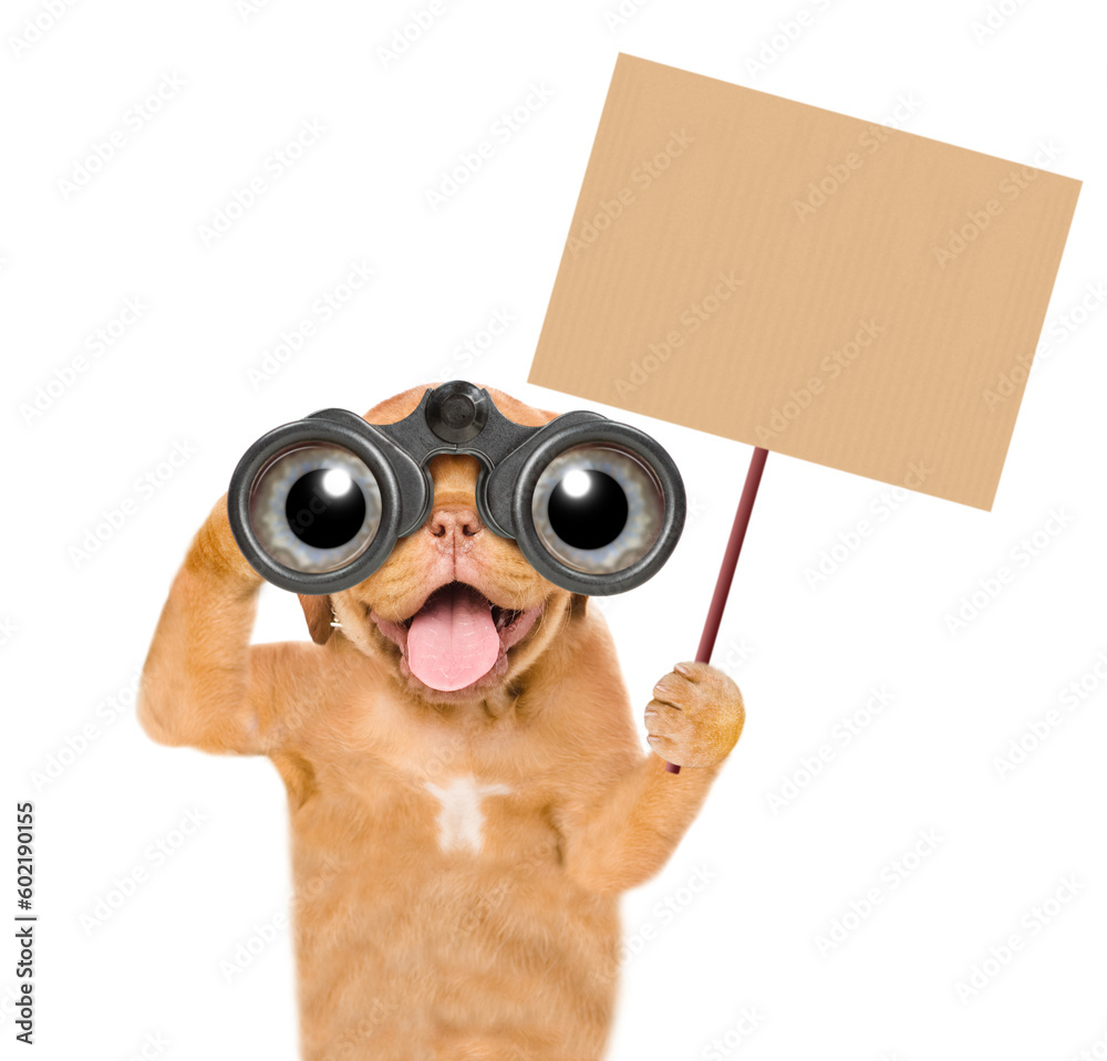 Poster happy mastiff puppy looks through binoculars and shows empty placard. isolated on white background