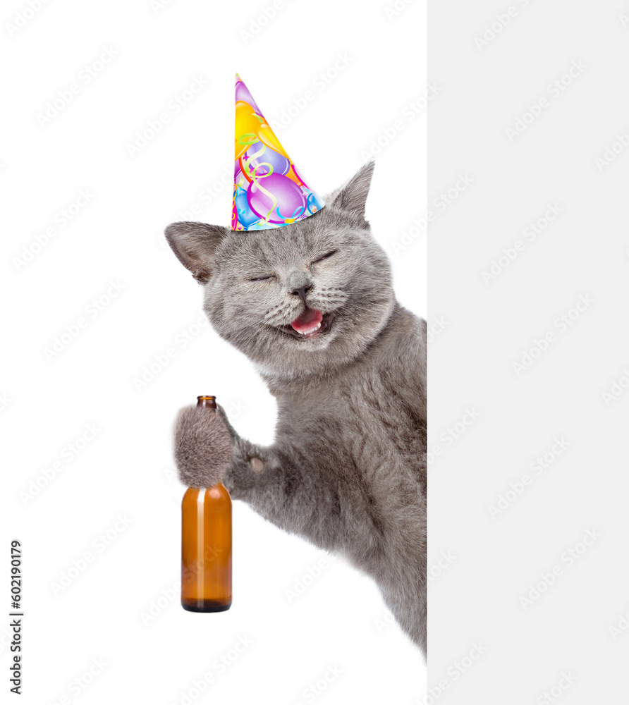 Poster happy cat wearing birthday cap holds bottle of beer and look from behind empty board. isolated on wh