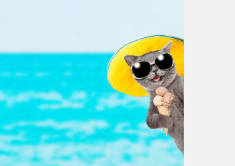 Funny cat wearing summer hat and sunglasses holds ice cream and looks from behind empty white banner. isolated on white background