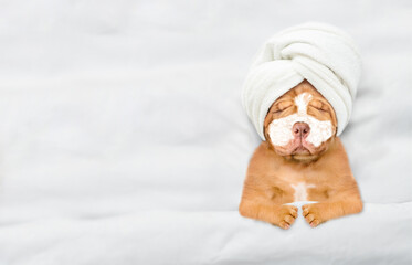Funny Mastiff puppy with towel on his head, with cream on his face relaxing on the bed at home. Top down view. Empty space for text
