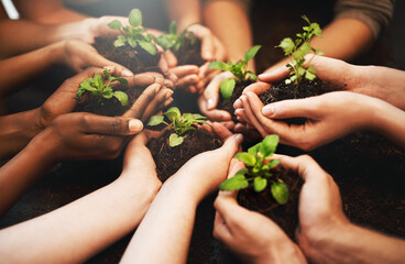 Hands together, plant soil and nature growth with sustainability and community work. People, green...