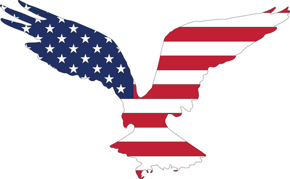 American eagle icon with american flag . vector