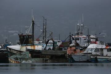 fishing boats in Haut Bay harbor
