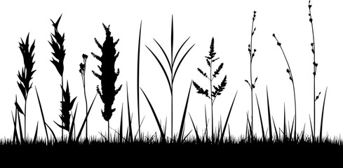 grass silhouette vector isolated on white background