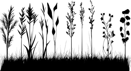 grass silhouette vector isolated on white background