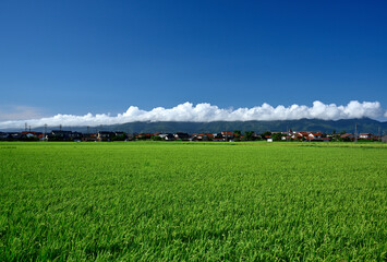 夏の出雲北山山地