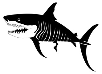 shark cartoon isolated on white