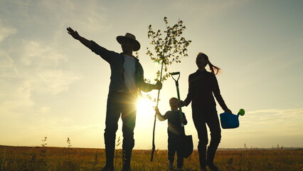 fresh sapling tree sunset, young roots, soil earth, plant garden, silhouette happiness family father mother child, eco happy family, environment, happy family silhouette sunset, plant trees spring