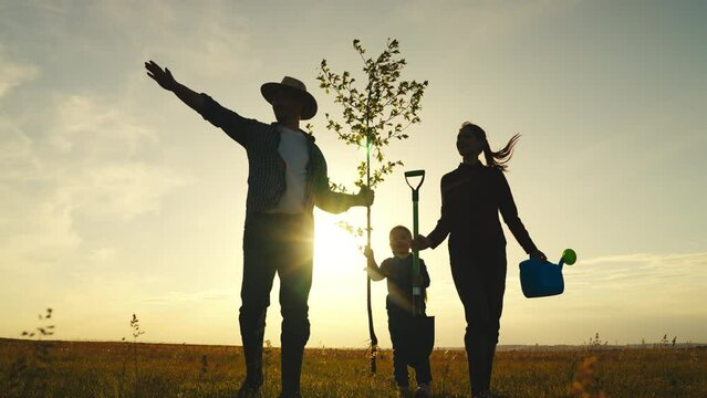fresh sapling tree sunset, young roots, soil earth, plant garden, silhouette happiness family father mother child, eco happy family, environment, happy family silhouette sunset, plant trees spring