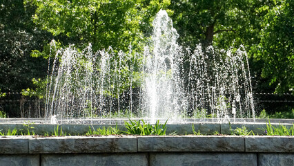 fountain in philadelphia zoo