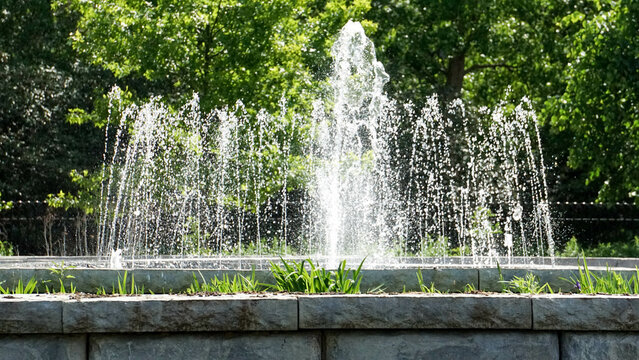 fountain in philadelphia zoo © Scott