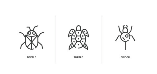nature outline icons set. thin line icons sheet included beetle, turtle, spider vector.