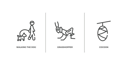 insects outline icons set. thin line icons sheet included walking the dog, grasshopper, cocoon vector. © VectorStockDesign