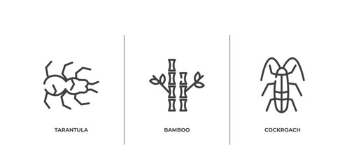insects outline icons set. thin line icons sheet included tarantula, bamboo, cockroach vector.