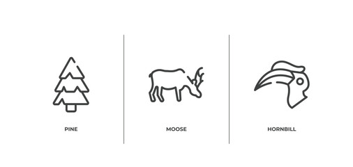 animals outline icons set. thin line icons sheet included pine, moose, hornbill vector.