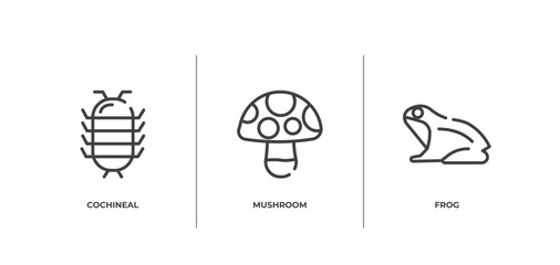 nature outline icons set. thin line icons sheet included cochineal, mushroom, frog vector.