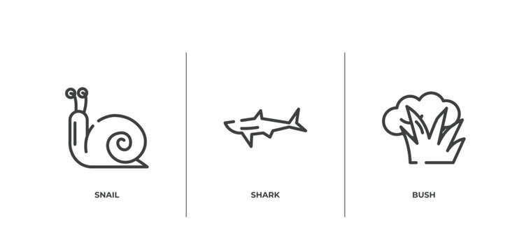 nature outline icons set. thin line icons sheet included snail, shark, bush vector.