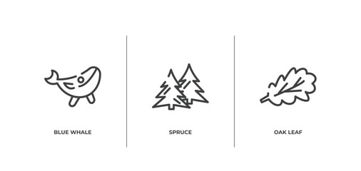 nature outline icons set. thin line icons sheet included blue whale, spruce, oak leaf vector.