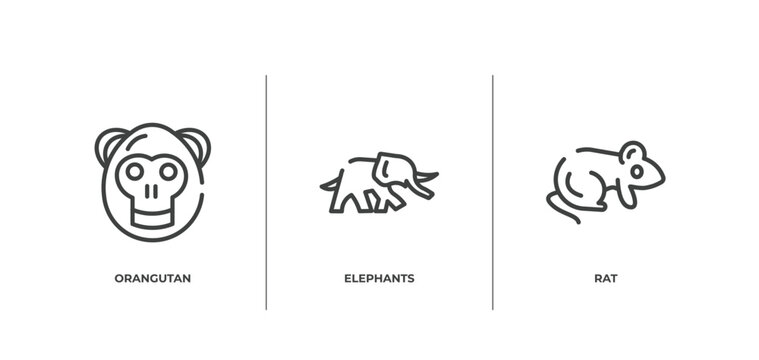 animal head outline icons set. thin line icons sheet included orangutan, elephants, rat vector.