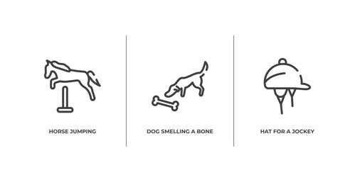 horses outline icons set. thin line icons sheet included horse jumping, dog smelling a bone, hat for a jockey vector.