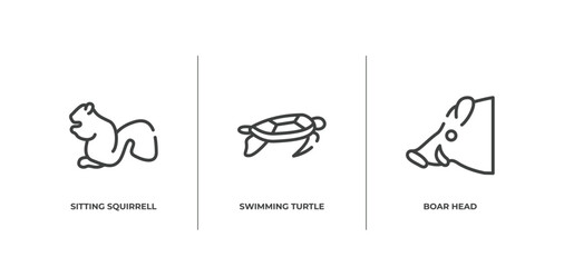 fauna outline icons set. thin line icons sheet included sitting squirrell, swimming turtle, boar head vector.