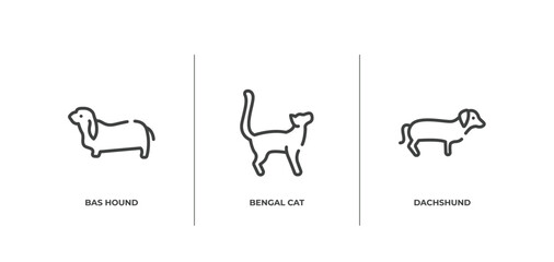 dog breeds fullbody outline icons set. thin line icons sheet included bas hound, bengal cat, dachshund vector.