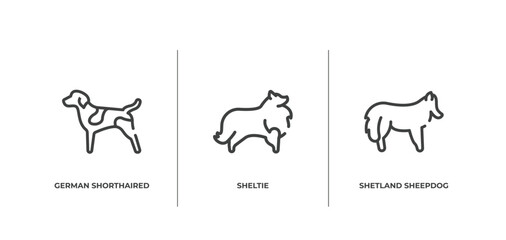 dog breeds heads outline icons set. thin line icons sheet included german shorthaired pointer, sheltie, shetland sheepdog vector. - obrazy, fototapety, plakaty