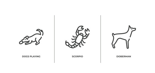 dog breeds fullbody outline icons set. thin line icons sheet included dogs playing, scorpio, doberman vector.