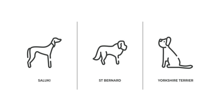 dog breeds fullbody outline icons set. thin line icons sheet included saluki, st bernard, yorkshire terrier vector.