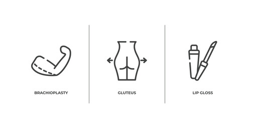 beauty outline icons set. thin line icons sheet included brachioplasty, gluteus, lip gloss vector.