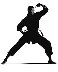 Fototapeta na wymiar Silhouette of a man showing martial arts, kung fu exercise, Created using generative AI tools.