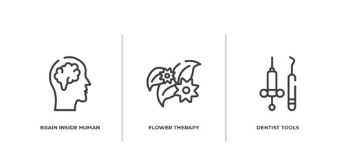 medical and dental outline icons set. thin line icons sheet included brain inside human head, flower therapy, dentist tools vector.