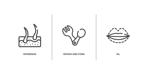 plastic surgery outline icons set. thin line icons sheet included epidermis, spoon and fork, sil vector.