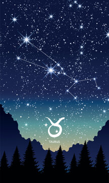 Taurus zodiac sign, constellation in the night sky, landscape vertical postcard for stories. Template for astrology, fortune teller, calendar. Modern vector illustration.
