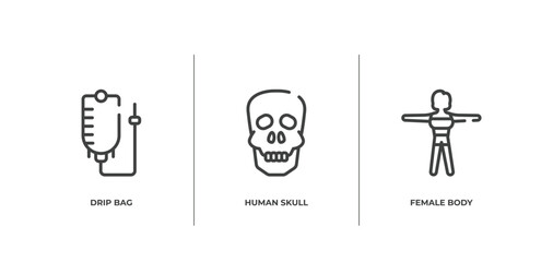 in the hospital outline icons set. thin line icons sheet included drip bag, human skull, female body vector.