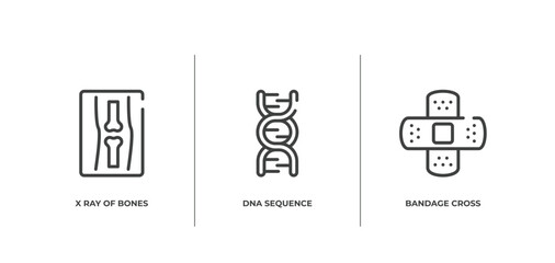 medical icons outline icons set. thin line icons sheet included x ray of bones, dna sequence, bandage cross vector.