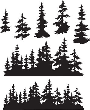 silhouette forest and trees